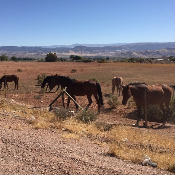 Hello! - Picture 1 of 1